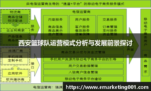 西安篮球队运营模式分析与发展前景探讨